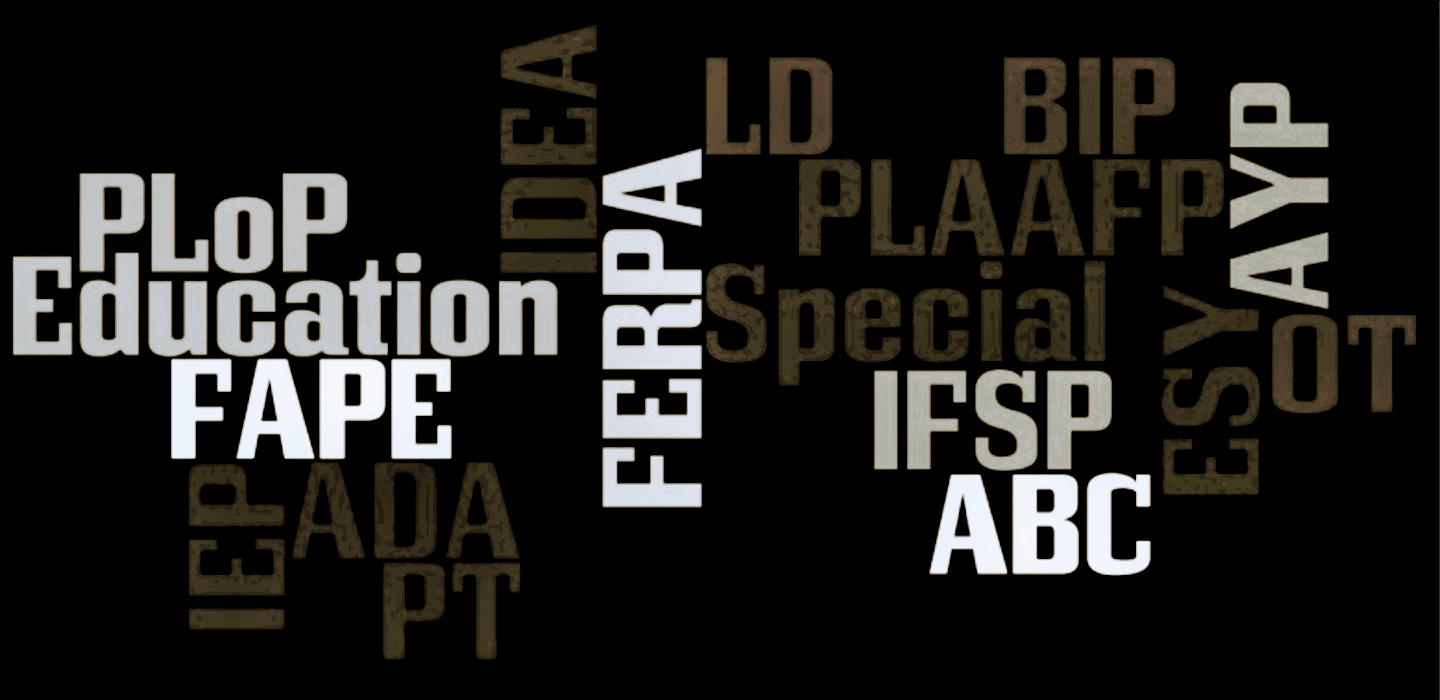 Capitalization Rules: When to Capitalize Special Education Terms