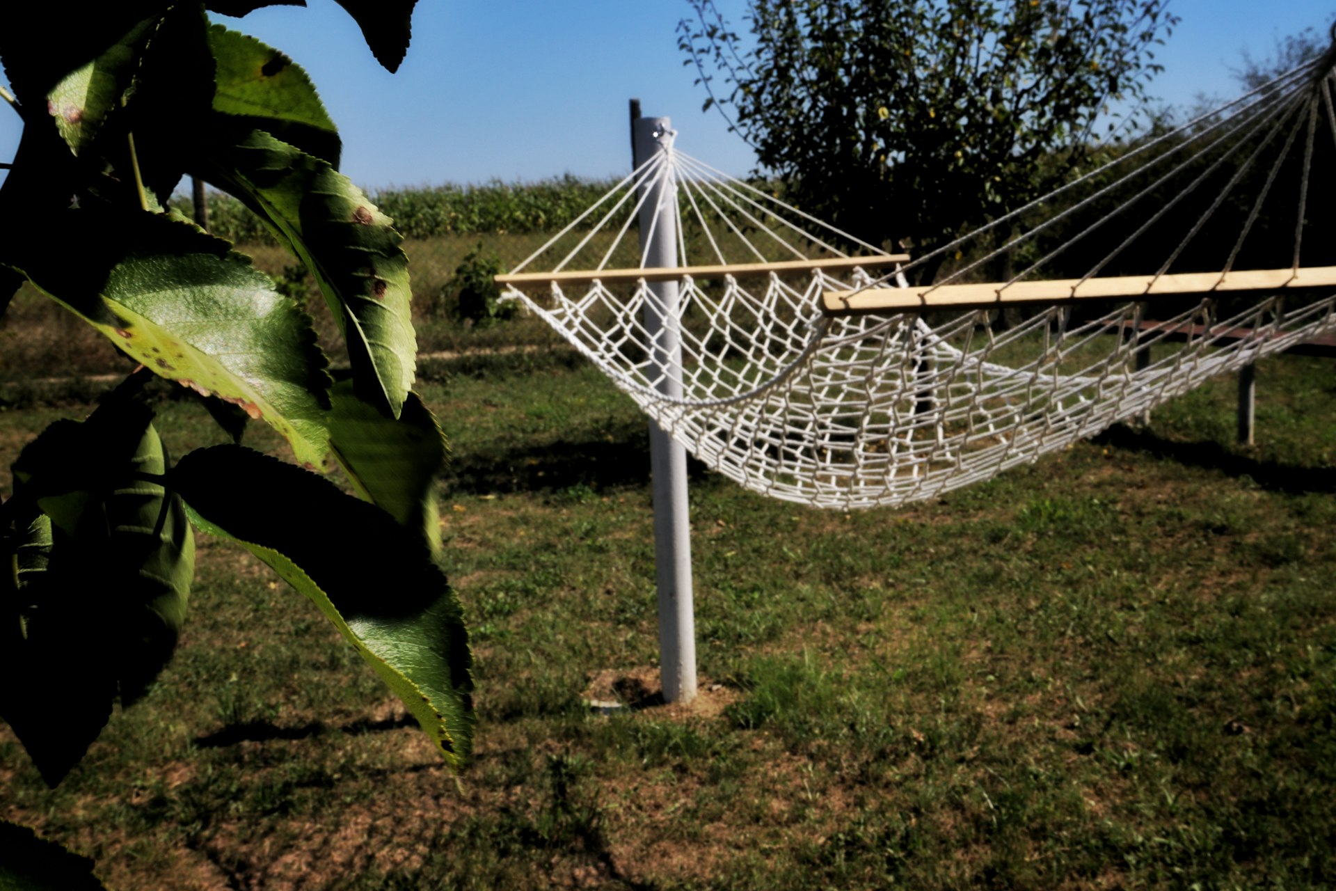 Modern Garden Hammock Installation Ideas for Stylish Outdoor Relaxation