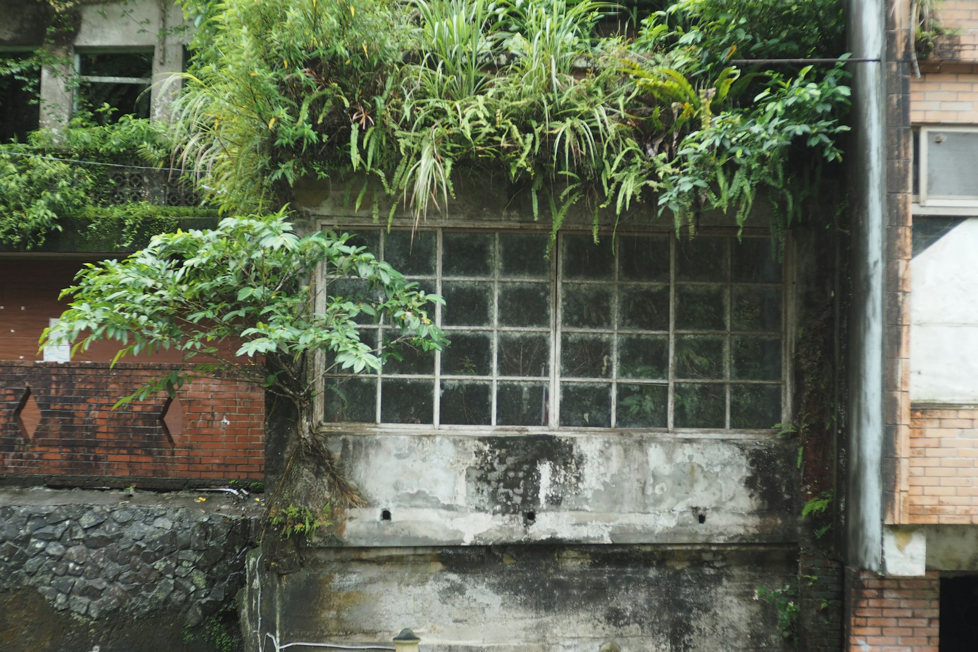 Transform Small Spaces: Build a Repurposed Gutter Herb Garden